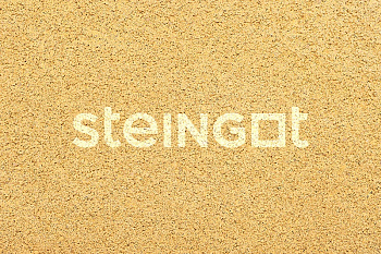 ���������� ������ Steingot ������ 225x112,5x60 �� "Ƹ����" (������ �������)
